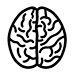 Neuro Cirurgia